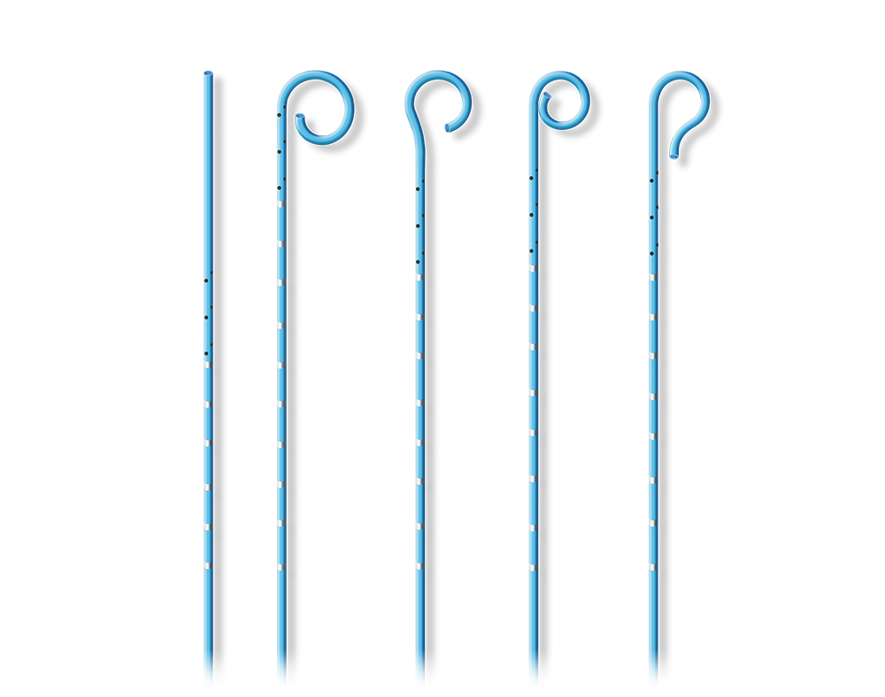 Braidin™ L Guiding Sheath
