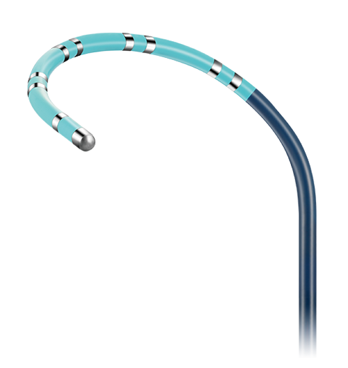 SinusFlex™ Kateter Pemetaan Decapolar Steerable